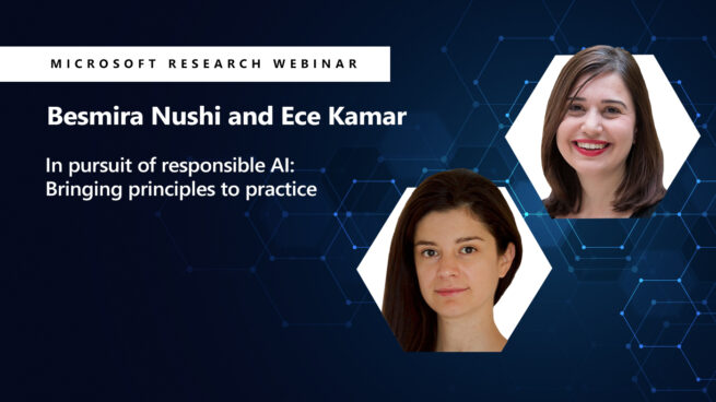 In pursuit of responsible AI: Bringing principles to practice webinar