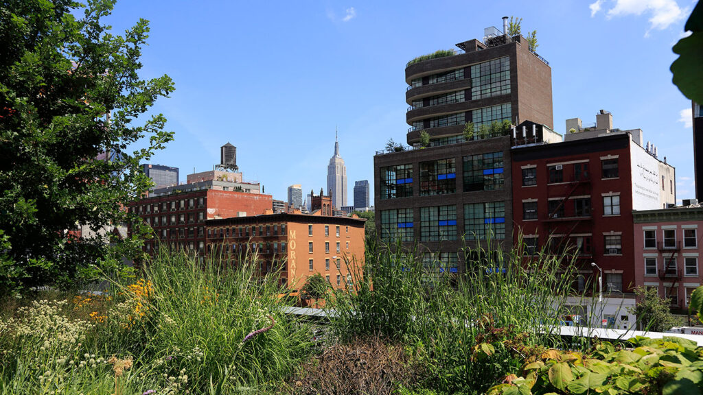Urban Innovation environment - garden space in the midst of city buildings