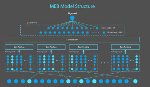 Technical diagram of MEB model. MEB is a sparse neural network model composed of an input layer taking in binary features, a feature embedding layer transforming each binary feature into a 15-dimension vector, a sum pooling layer applied on each of 49 feature groups and concatenated to produce a 735-dimension vector, which is then passed through two dense layers to produce a click probability. Features shown in this figure are generated from the example query “Microsoft Windows” and document cm-edgetun.pages.dev/en-us/windows.