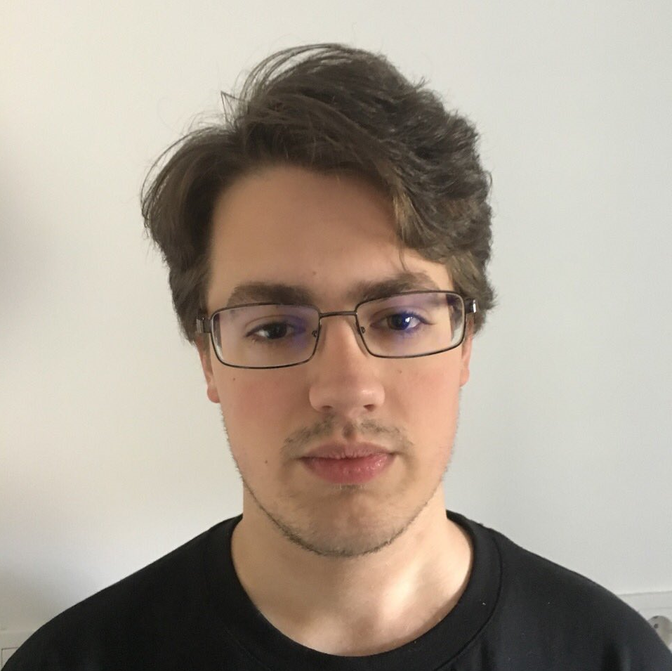 Portrait of Nikola Pejic