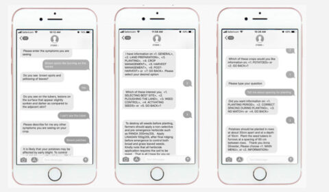 FarmVibes - graphical user interface, text, application, chat or text message