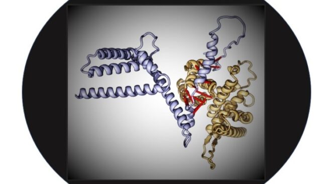 A Leap Forward in Bioscience