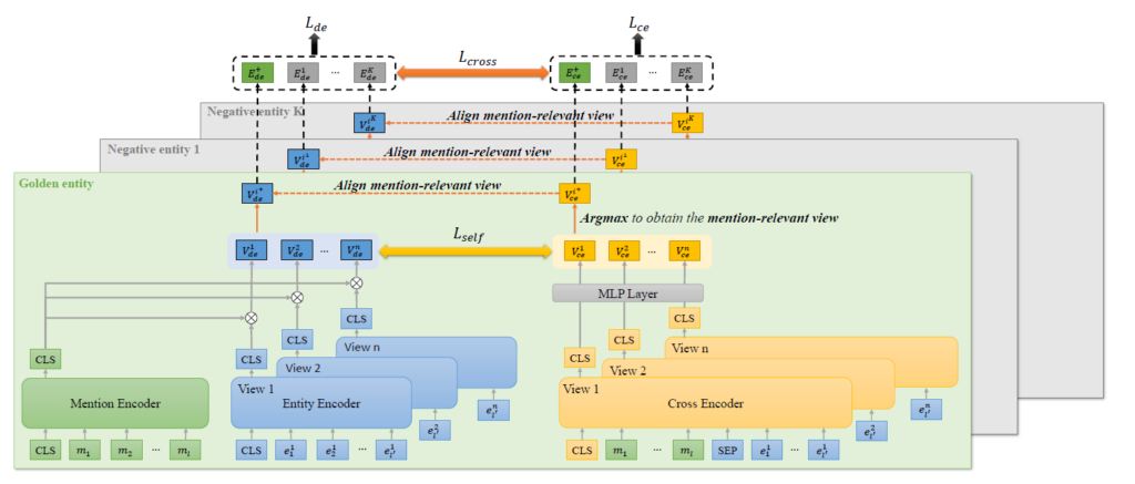 The general framework of Multi-View Enhanced Distillation (MVD).