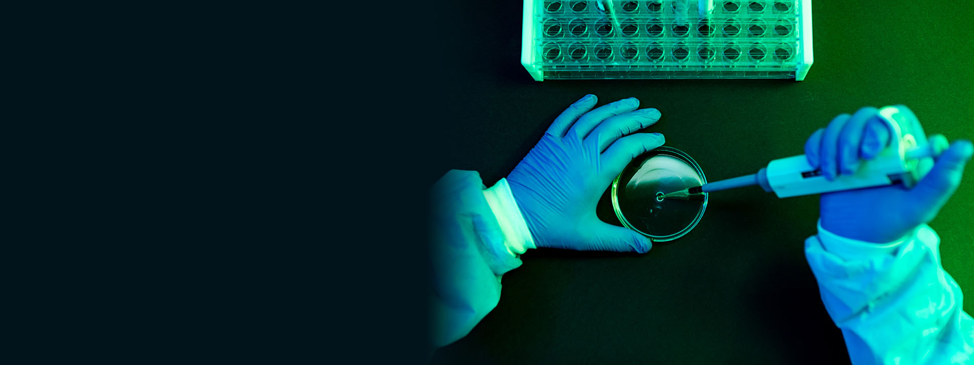 Project Ex Vivo header - aerial view of lab tech working with a pipette