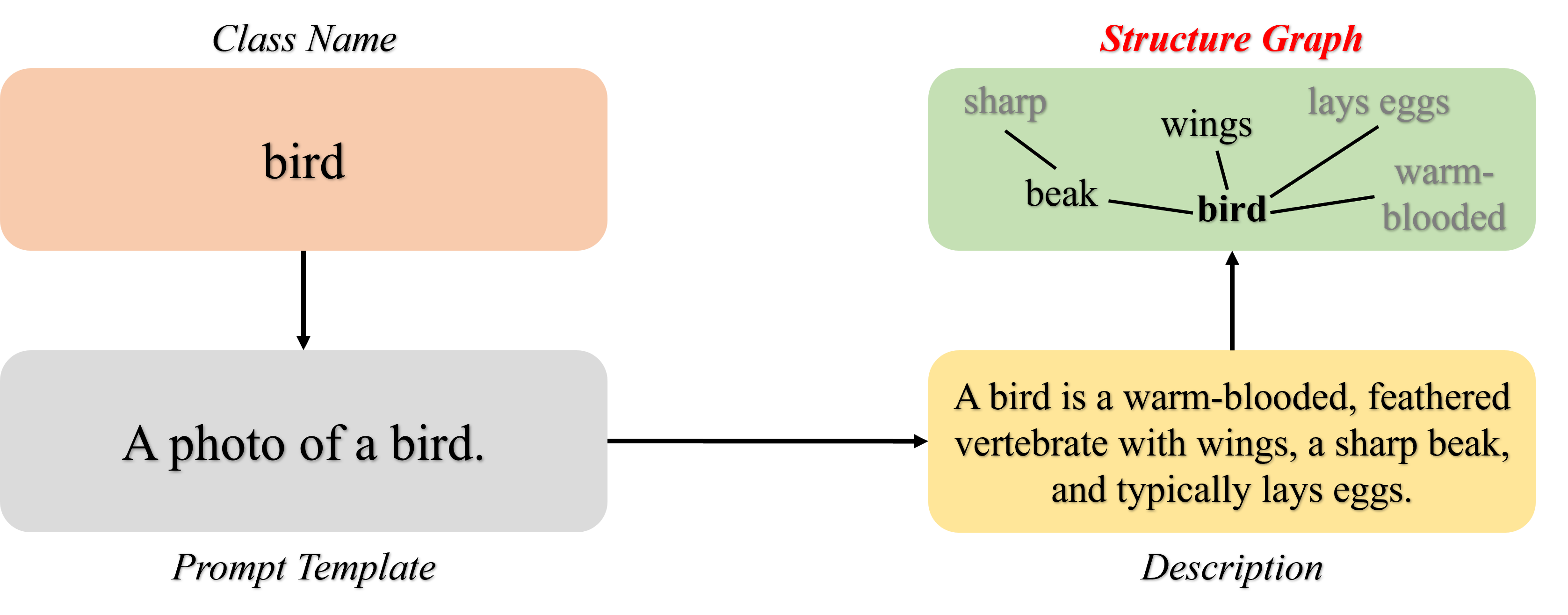 An example of three types of prompts used in VLM to recognize bird, which is templated prompt (a photo of a bird), a natural language based prompt that descript the bird category, and a tree structured prompt highlight the key entities of birds and the corresponding attributes, such as beak, wings, etc.