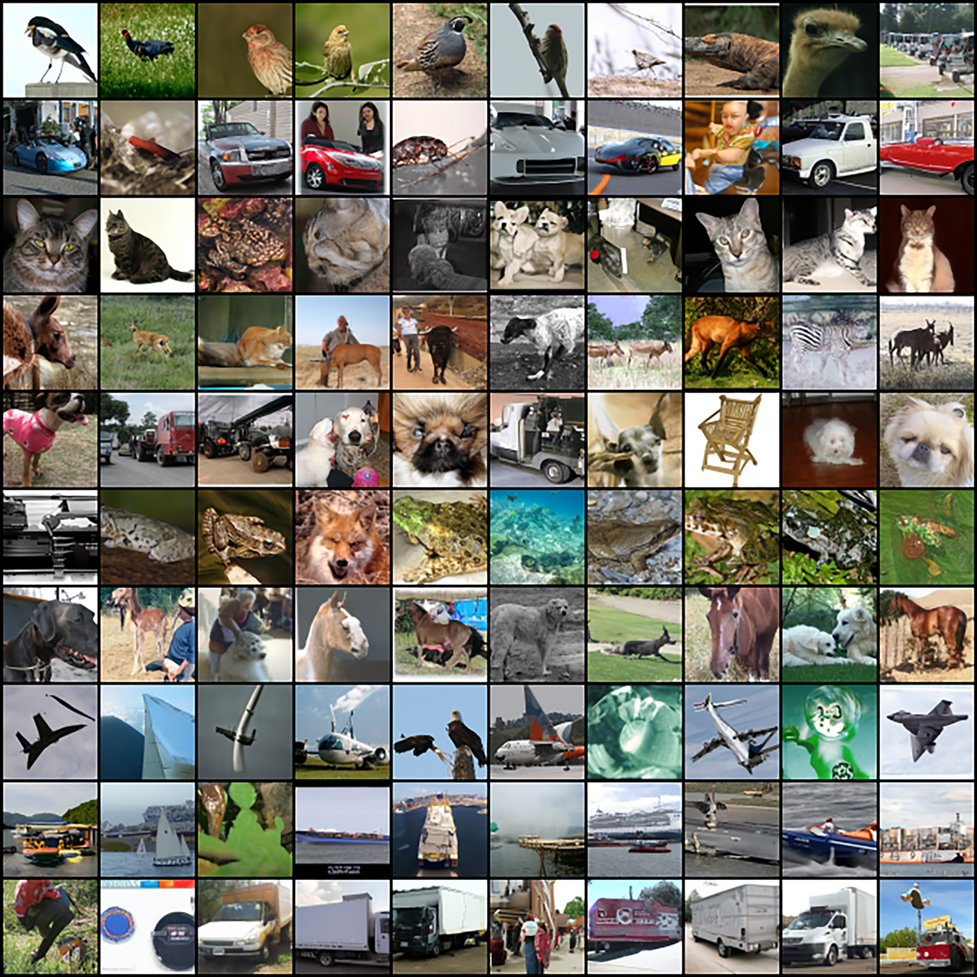 An array of ten rows of thumbnails, each row depicting ten instances of generated synthetic images. The rows include birds, cars, cats, dogs, and other animals, planes, boats and trucks. Most of the images appear to be realistic with some exhibiting unusual artifacts.