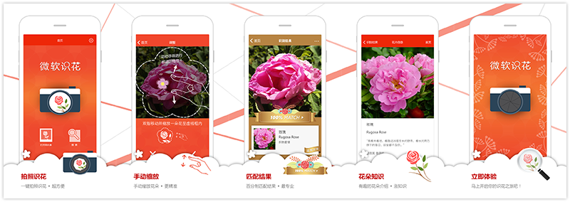 微软识花APP