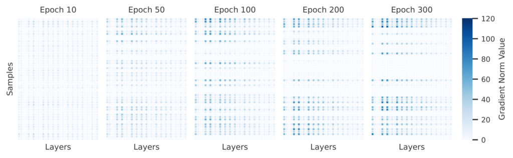 图5：不同样本的每层梯度大小随着训练步数变化显著