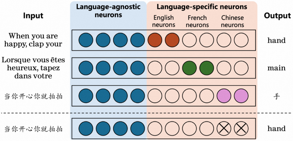 模型处理语义相同但语言不通的文本时,内部神经元的激活情况