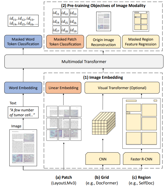 图2:关于图像表示方式和预训练目标的比较