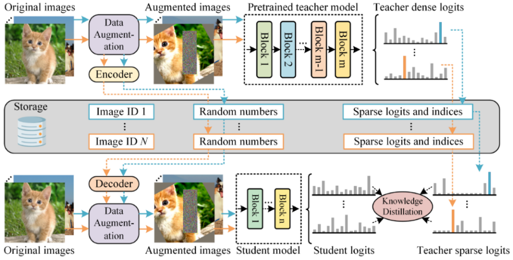 图4：快速预训练知识蒸馏