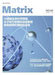 cover image of Matrix 60