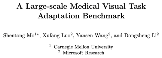 A Large-scale Medical Visual Task Adaptation Benchmark