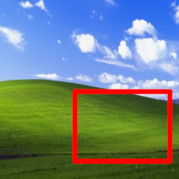 a close up of a lush green field