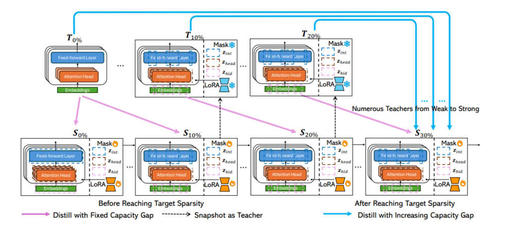 NutePrune 的整体设计