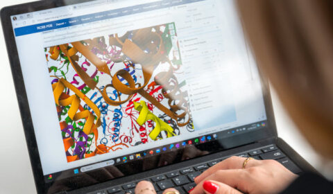 A laptop screen displays colorful shapes representing molecules.