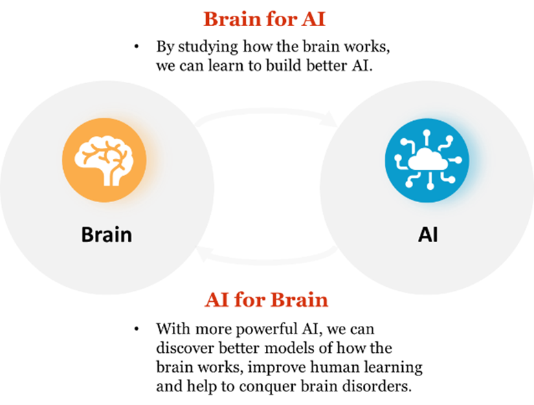 Synergy between AI and the Brain