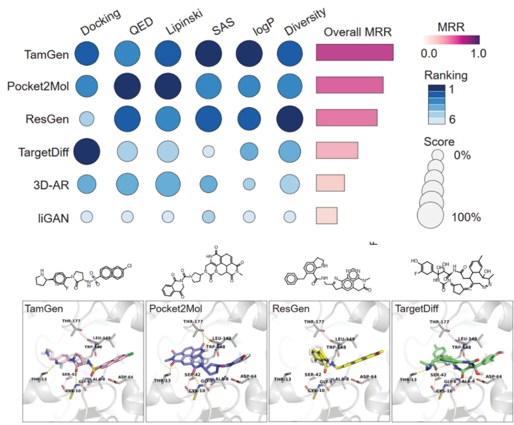 TamGen 计算性能验证结果