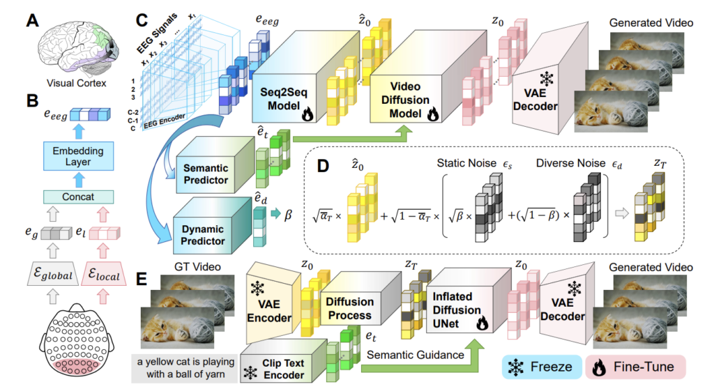 EEG2Video 模型设计框架