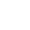 X icon