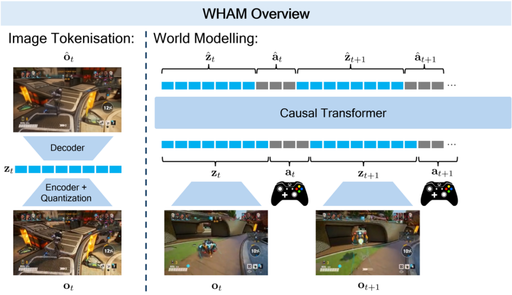 WHAM overview. WHAM first tokenises our gameplay data of image, action, image, action, etc sequences into a longer sequence of tokens. Then we train a decoder-only transformer to predict the next token in the sequence. Left: We tokenise each image using a ViT-VQGAN. Right: We train a transformer on the resulting sequence of tokens. Please refer to our blog post and the Nature article for more details on WHAM.