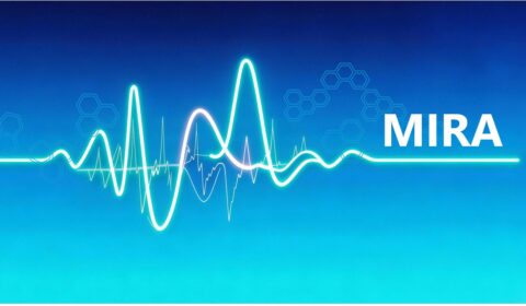 article feature image