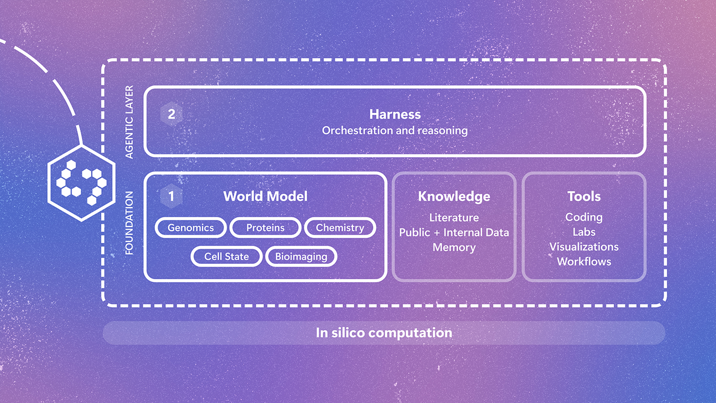 Diagram of Project Quine’s closed-loop approach to biological research. A scientist asks questions that are passed to Quine for in silico computation. Quine combines a world model of biology, spanning genomics, proteins, chemistry, cell state, and bioimaging, with a harness for orchestration and reasoning, supported by knowledge and tools. Quine generates proposals that are tested through real-world wet-lab experiments. Experimental measurements return to the scientist and inform the next question, creating an iterative loop between computational modeling and real-world experimentation.