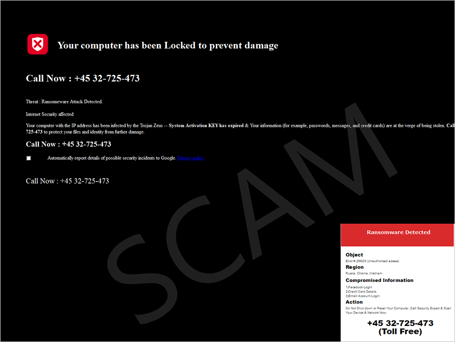 A scam page showing that your computer has been locked and has a number to call for support.