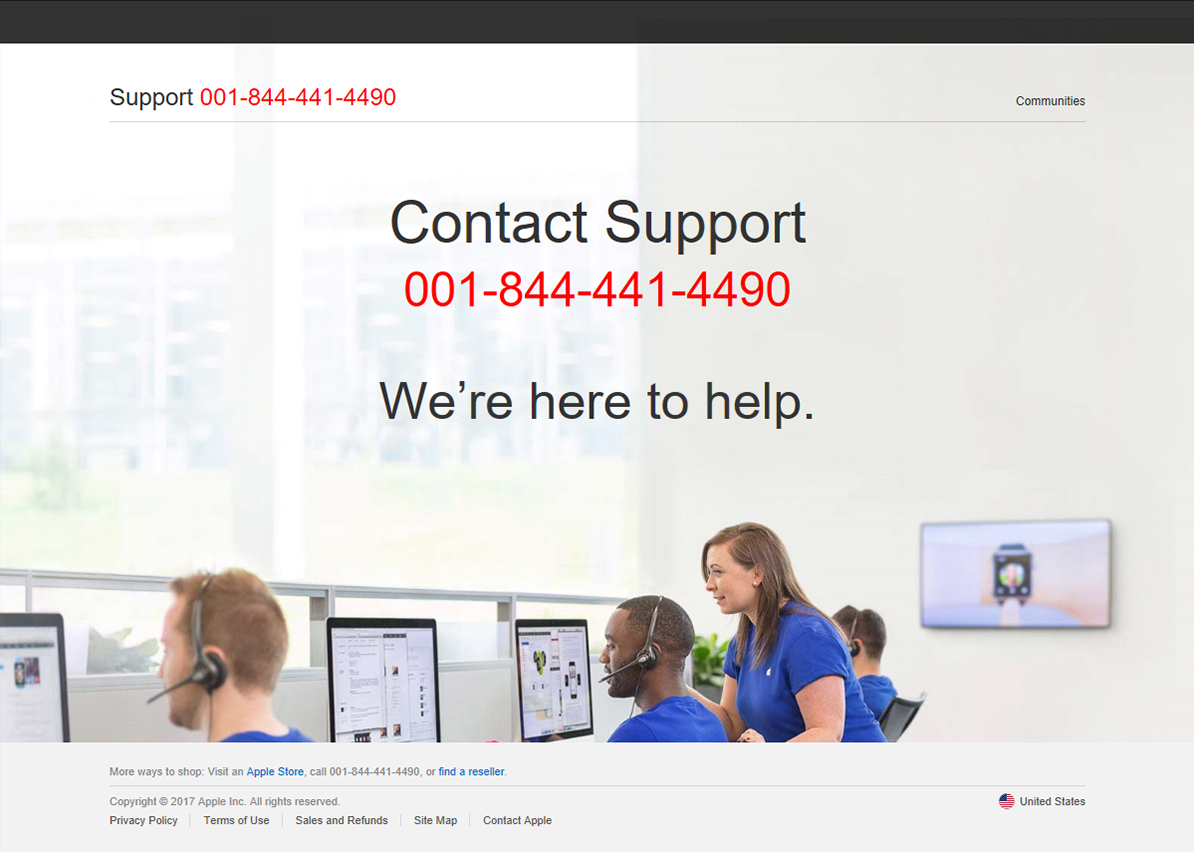 Figure 5. Tech support scam website before the communication app is launched