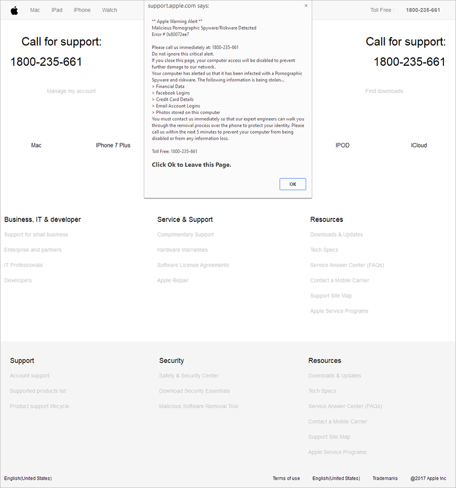 A screenshot of a tech support scam template