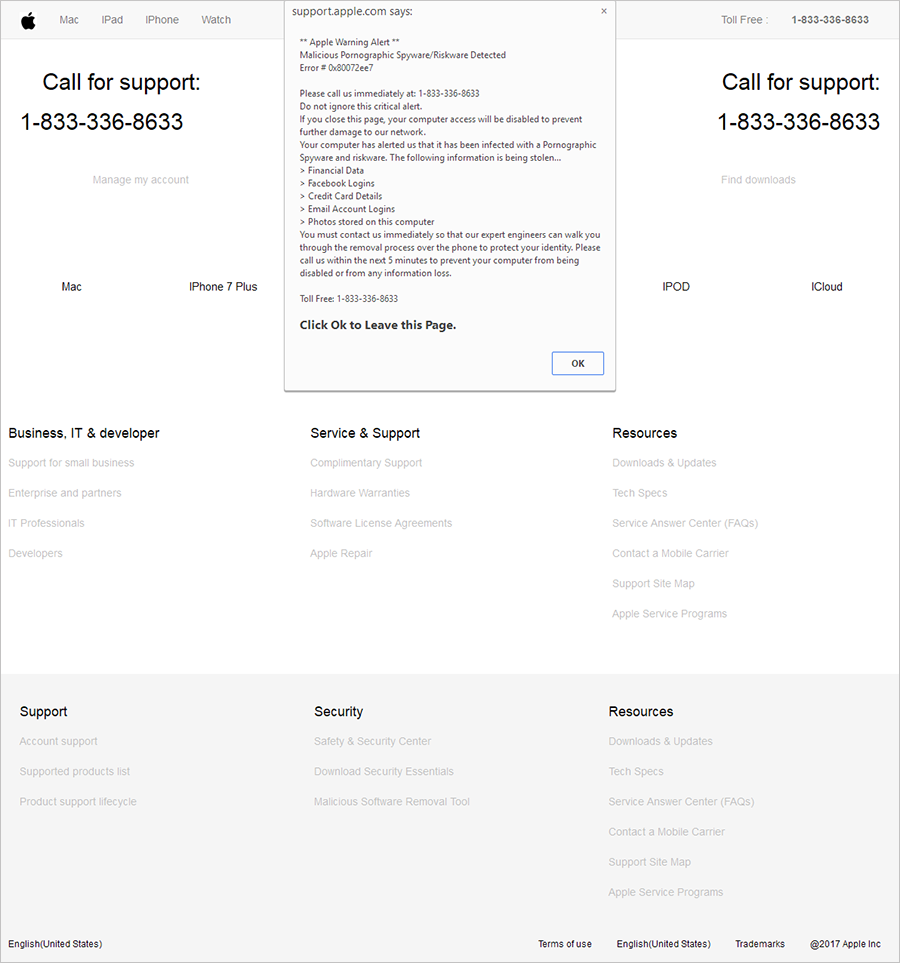 A screenshot of a tech support scam template