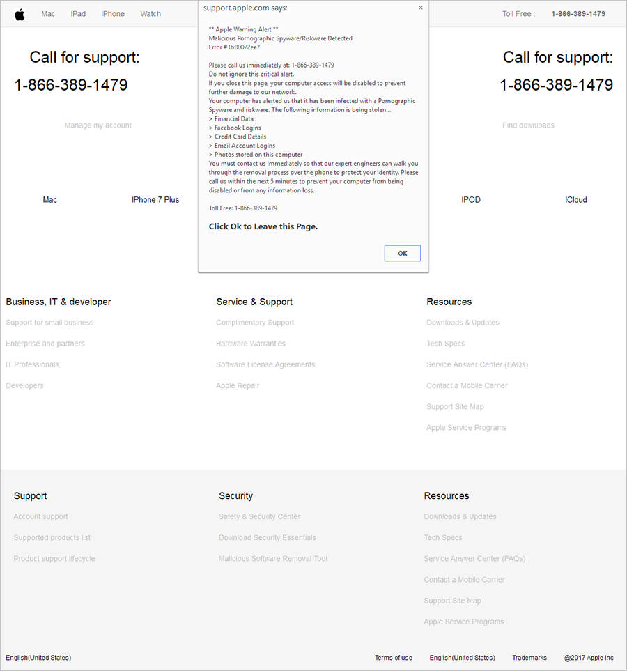 A screenshot of a tech support scam template