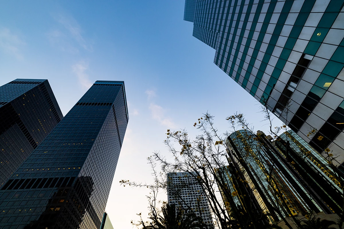 Photo of building architecture and urban greenery