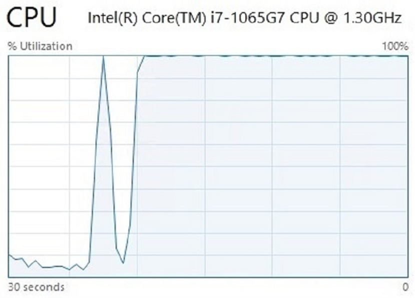 Screenshot of CPU utilization showing a spike when the malware began its malicious routines.