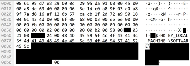 Screenshot of the packet that triggered our investigation and led to our discovery of the vulnerability