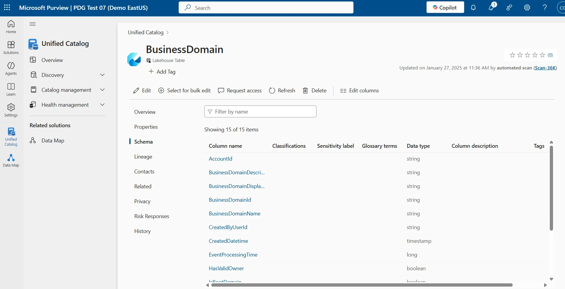 Schema of &lsquo;BusinessDomain&rsquo; Lakehouse table showing column names and data types as metadata