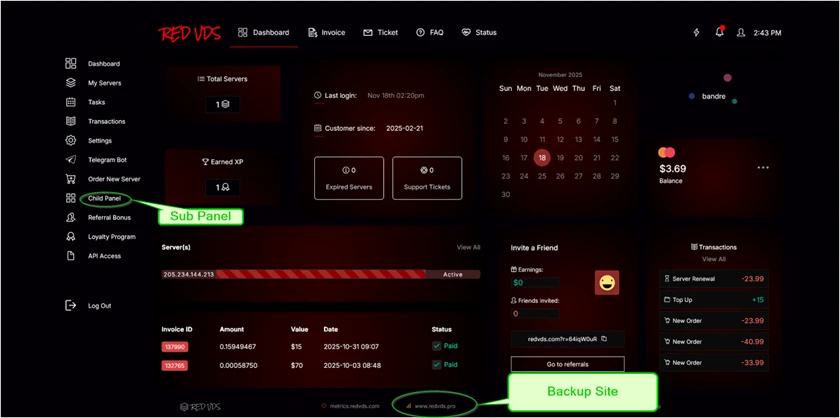 Screenshot of the RedVDS user interface