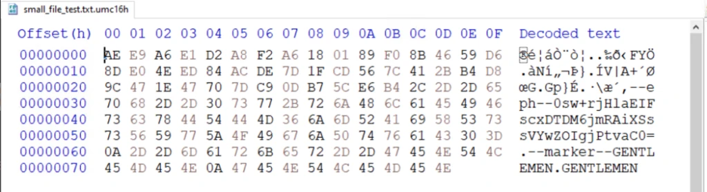 Screenshot of a hex editor displaying a file's hexadecimal data and decoded text side by side. Hexadecimal values are organized in rows with offsets on the left, showing a mix of alphanumeric characters and symbols, while decoded text on the right includes readable words like "marker" and "GENTLEMEN."