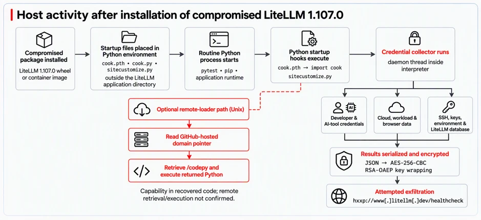 Diagram showing compromised LiteLLM 1.107.0 installing Python startup files that automatically launch a credential collector. Stolen developer, cloud, browser, SSH, environment, and LiteLLM database data is encrypted and sent to an attacker-controlled endpoint. An optional Unix path can retrieve and execute additional Python code; this activity was not confirmed.