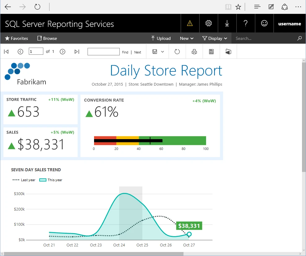 Paginated reports built with SQL Server Report Builder dashboard.