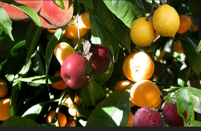 COnsistent data COnsistent data