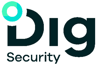 Dig Security