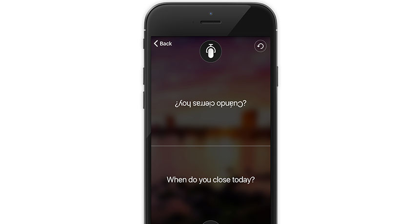 Translator app's split-screen feature shown on a mobile device