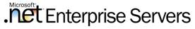 .Net Enterprise Servers