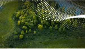 草木が生い茂る丘