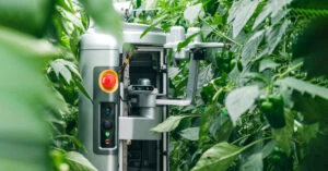 ビニールハウスで稼働する吊り下げ式ピーマン自動収穫ロボット「L」