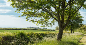 ヘッダーフォト