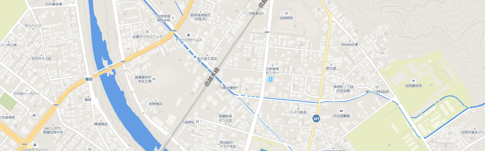 マイクロソフトベース新潟加茂のアクセスマップ