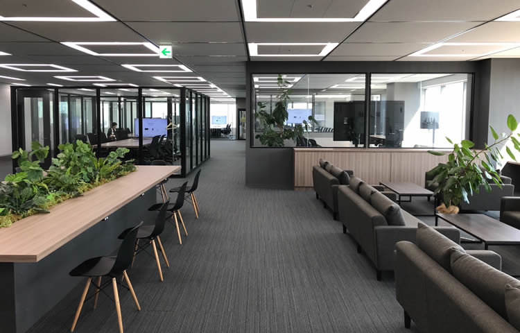 植物とソファが配置されたモダンなオフィス空間。